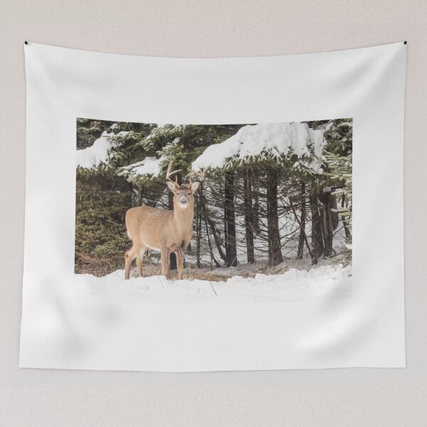 Item preview, Deer in the snow woods designed and sold by Josef Pittner.