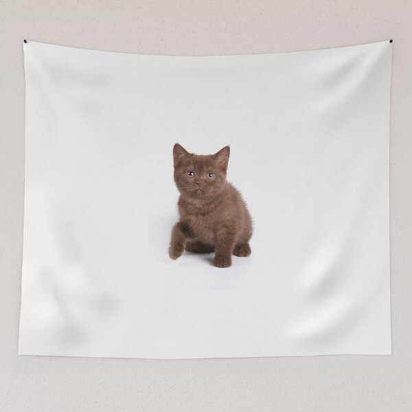 Item preview, Brown soft fluffy kitten designed and sold by utekhina.