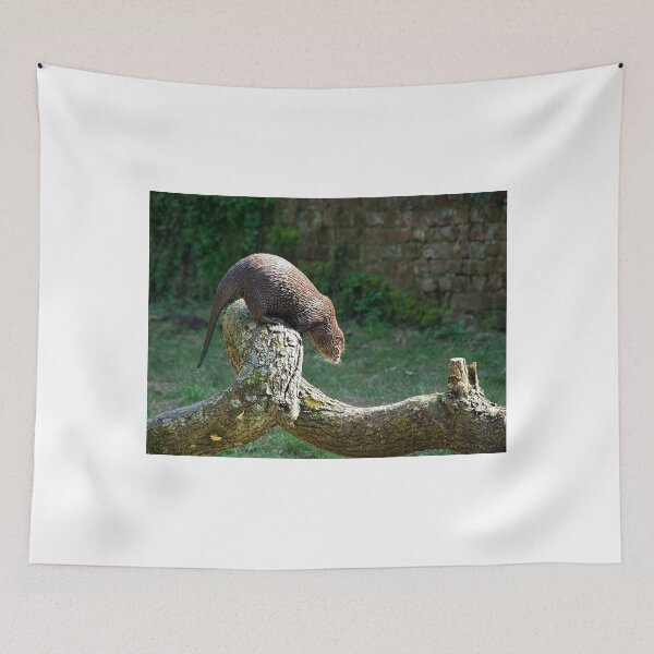 Item preview, Asian Small-clawed Otter designed and sold by Dorset Girl.