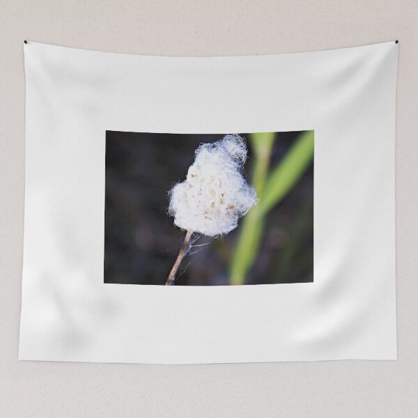 Item preview, Milkweed Fluff  designed and sold by mezzilicious.
