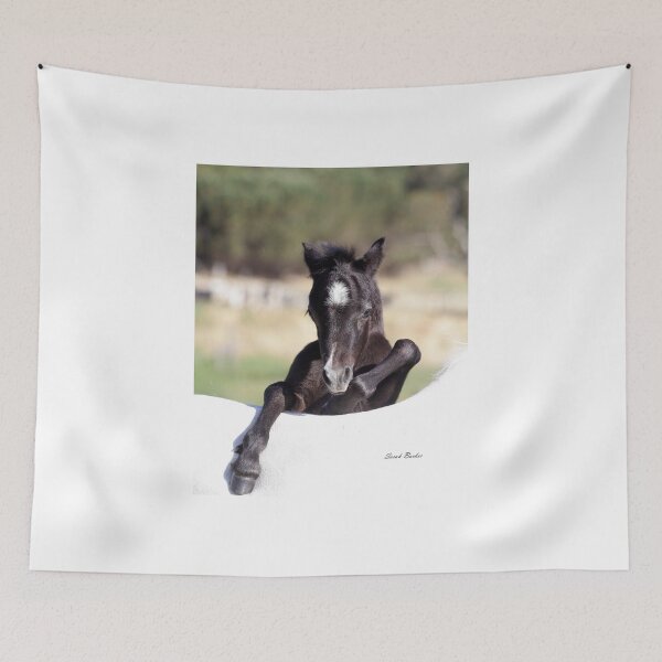 Item preview, Cheeky Foal designed and sold by Rivington.