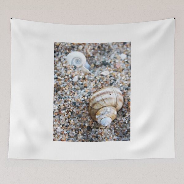 Item preview, Little Shell, Big Shell designed and sold by mezzilicious.