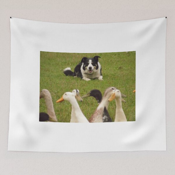 Item preview, Flock watching designed and sold by TerriWatson.