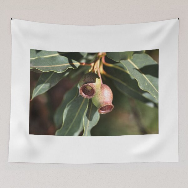 Item preview, Gumnuts of Australia designed and sold by Joy Watson - Natural Light Photography .