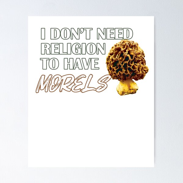 Item preview, I Don't Need Religion To Have Morels designed and sold by Automatic  Soul.