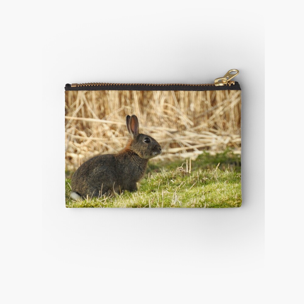 Item preview, Zipper Pouch designed and sold by Louisamhocking.