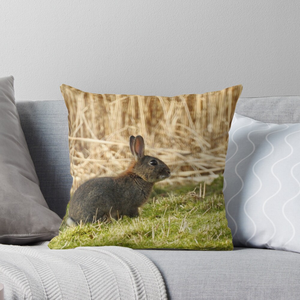Item preview, Throw Pillow designed and sold by Louisamhocking.