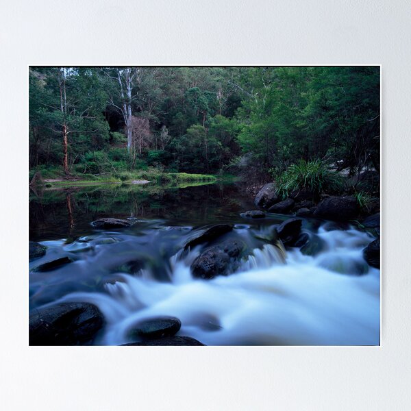 Item preview, Wollemi ck, nsw Aus designed and sold by Adam  Smith.