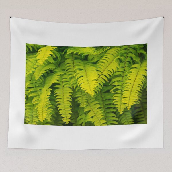Item preview, Lush ferns. designed and sold by Anne Scantlebury.