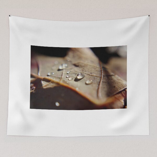 Item preview, Too Little, Too Late designed and sold by Kathleen Daley.