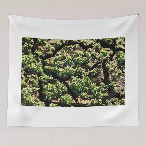 Item preview, Signs of Life designed and sold by BenjaminMartin.