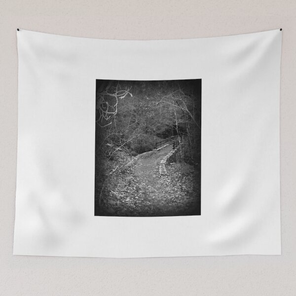 Item preview, Path Over A Fall  designed and sold by Paul Lubaczewski.