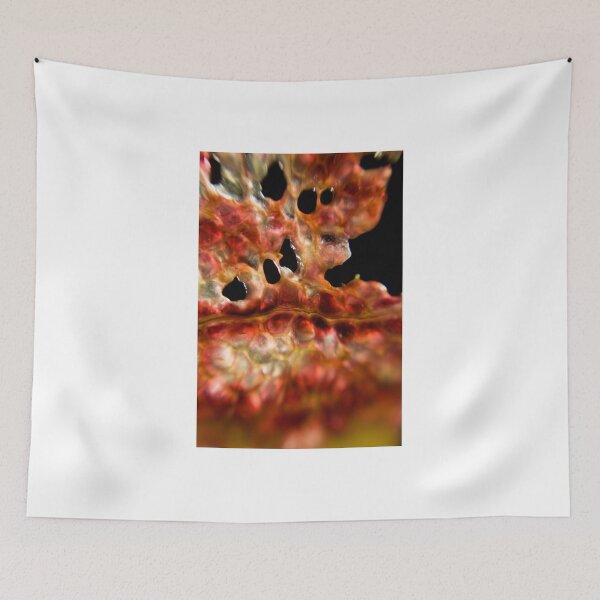 Item preview, Fleshy Slice designed and sold by rachelcphotoart.