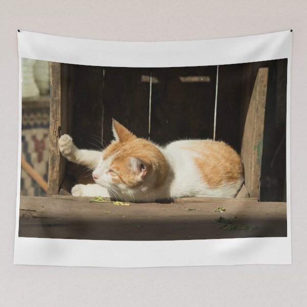Item preview, Cat in a box  designed and sold by hawkie.