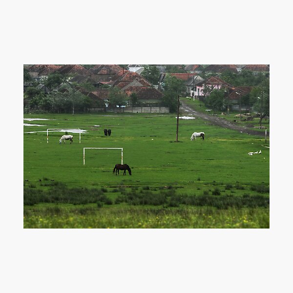 Horses love football too, Romania Photographic Print