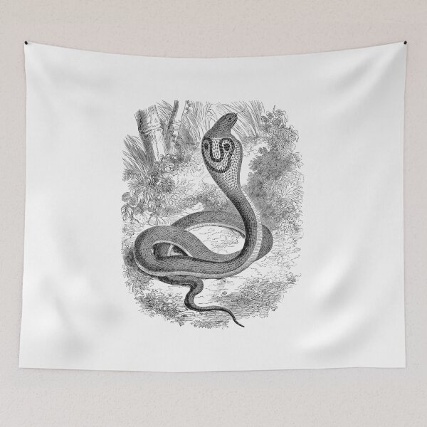 Item preview, Vintage Snake Hooded Serpent Illustration Retro 1800s Black and White Snakes Reptile Image designed and sold by SilverSpiral.