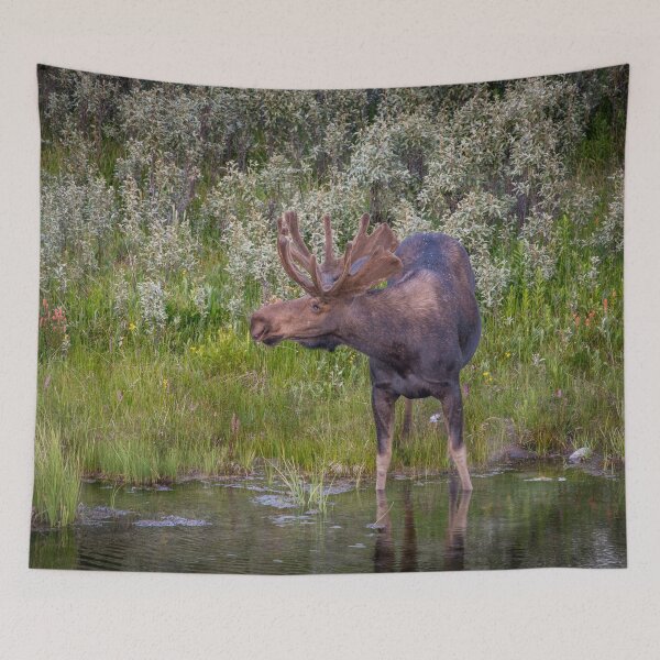 Item preview, This is my best side designed and sold by Ken Fleming.