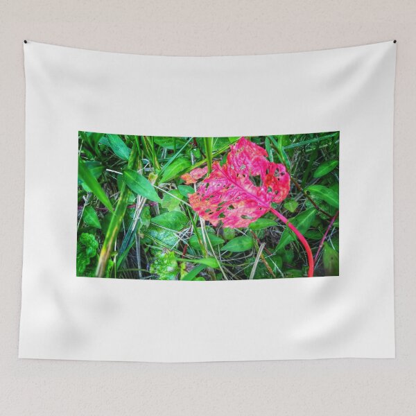 Item preview, Colors of the Season designed and sold by MadlovPhoto.