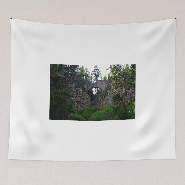 Item preview, Yellowstone Natural Bridge designed and sold by Daniel Coulter.