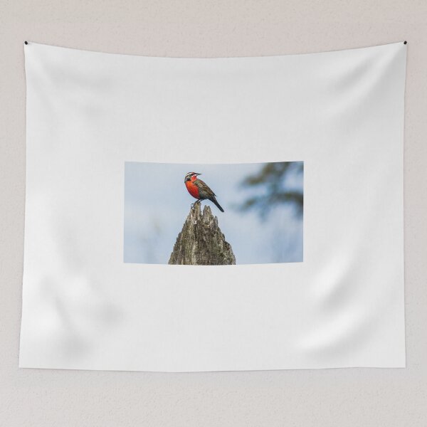 Item preview, 32216 red breasted designed and sold by pcfyi.