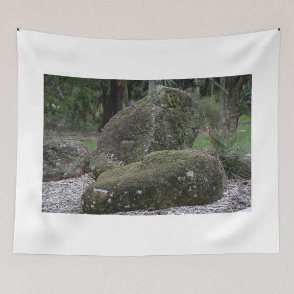 Item preview, ROCKS WITH LICHEN AND MOSS designed and sold by kazaroodie.