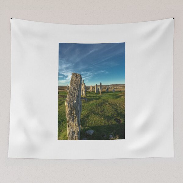 Item preview, callanish designed and sold by paolo amiotti.