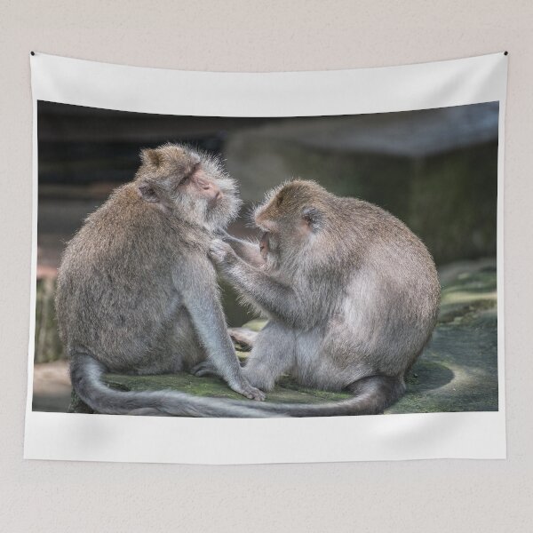 Item preview, Ubud Monkey Mates designed and sold by JohnKarmouche.