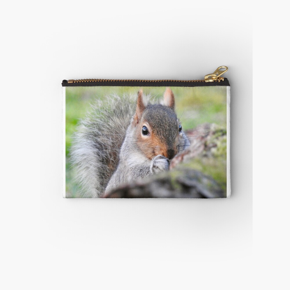Item preview, Zipper Pouch designed and sold by Louisamhocking.