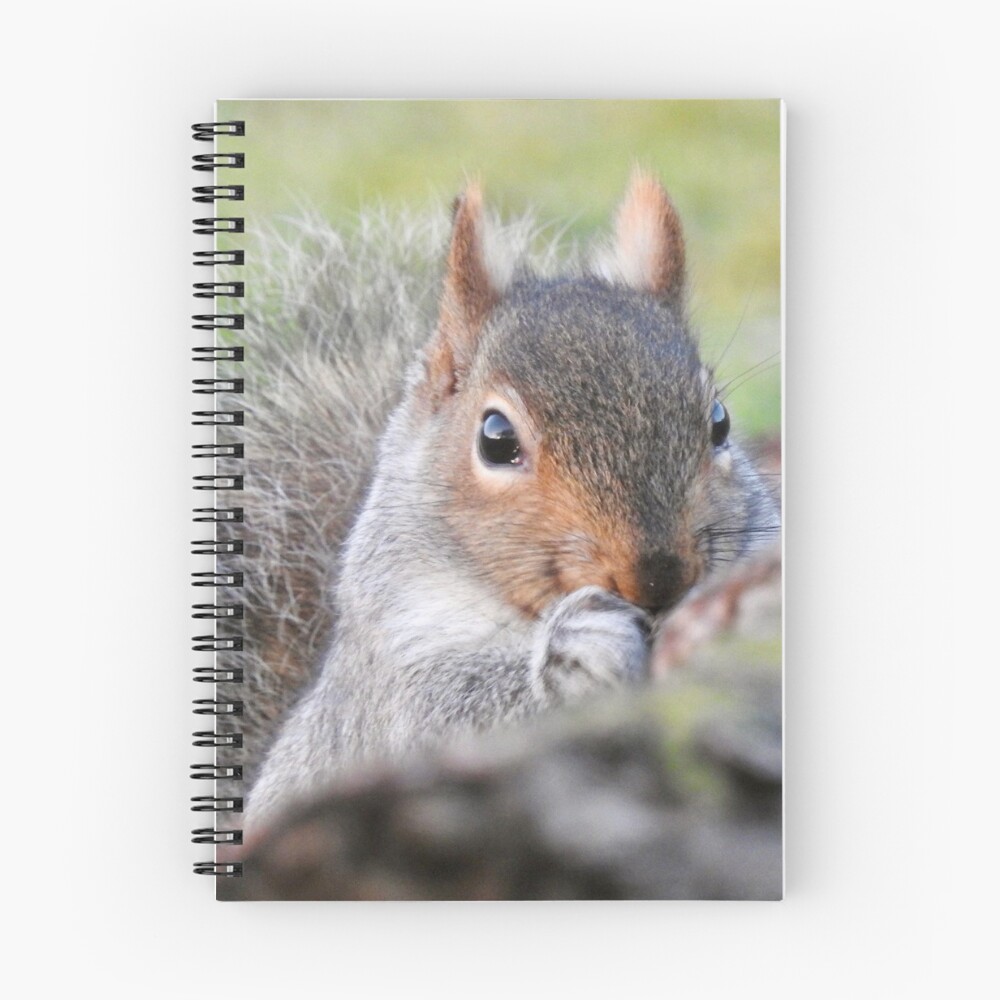 Item preview, Spiral Notebook designed and sold by Louisamhocking.
