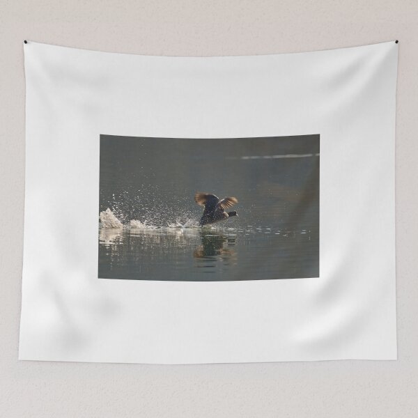 Item preview, Coot in a hurry designed and sold by Mark Bangert.