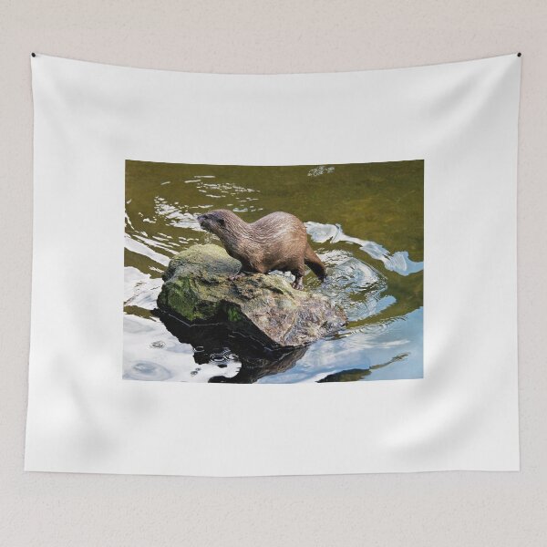 Item preview, Asian Small-clawed Otter 2 designed and sold by Dorset Girl.