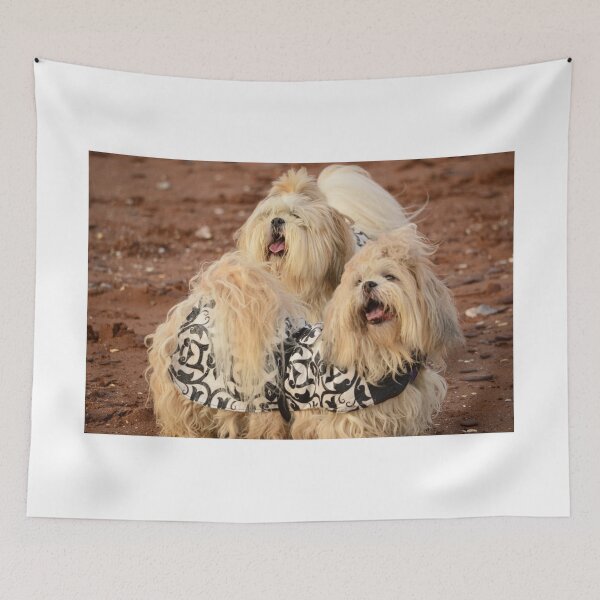 Item preview, Dog Duet - Shi Tzu dogs designed and sold by BryanDevon.