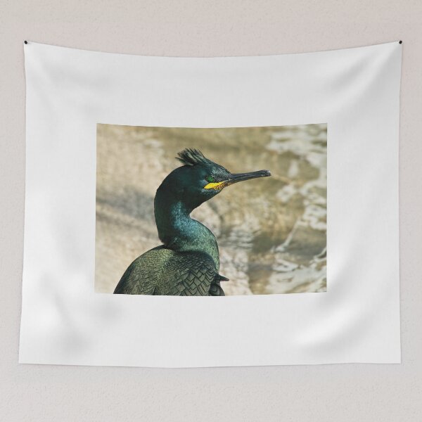 Item preview, Cormorant/Shag 2 - Padstow Harbour designed and sold by Dorset Girl.