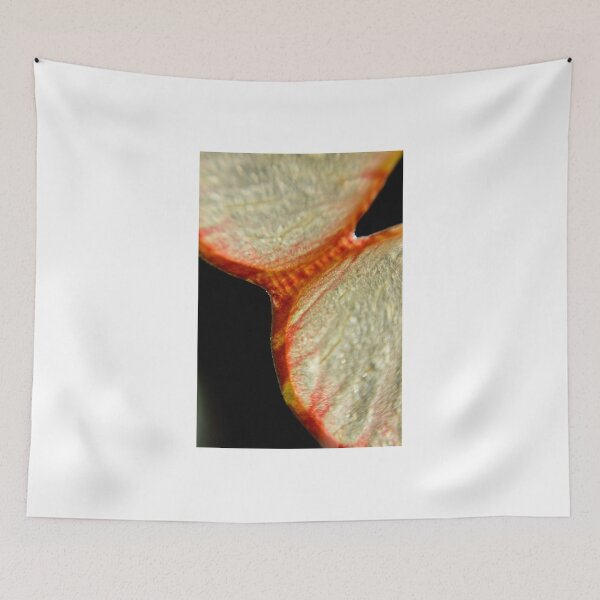 Item preview, Ripe Plums designed and sold by rachelcphotoart.