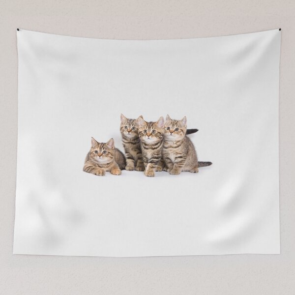 Item preview, Fluffy little tabby kitten British cat designed and sold by utekhina.