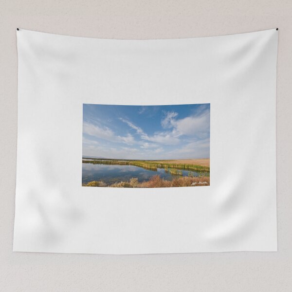 Item preview, Tule Lake Marshland designed and sold by Jeff Goulden Photography.