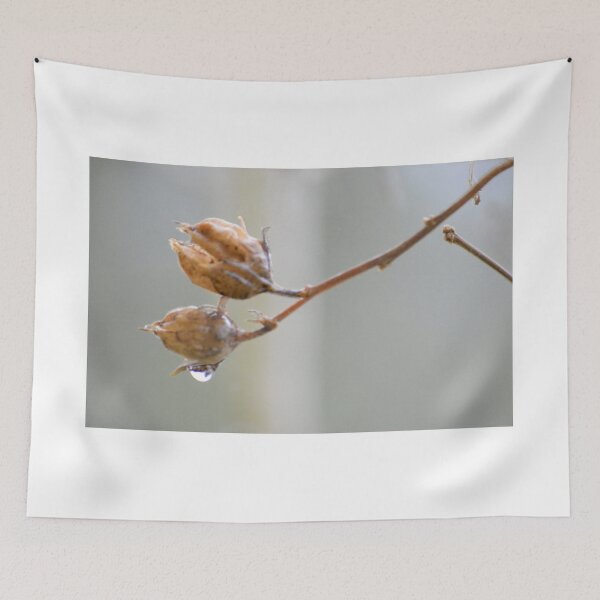 Item preview,  Rose of Sharon branch ~ prior to Spring designed and sold by Laurie Minor.