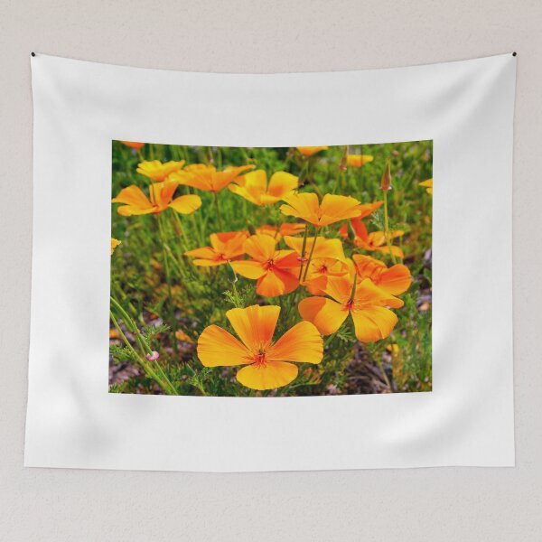 Item preview, Popping Up And Popping Out designed and sold by JoeGeraci.