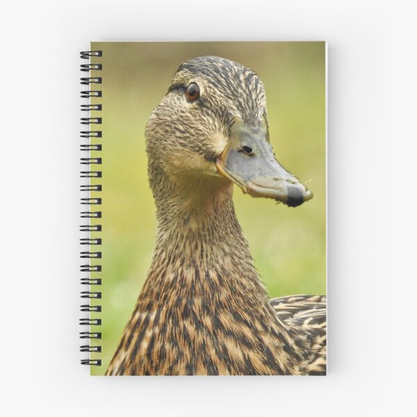 Item preview, Mallard designed and sold by Louisamhocking.