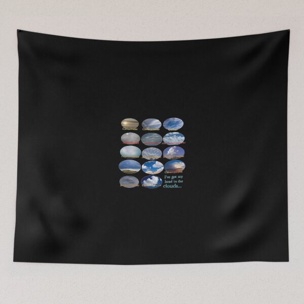 Item preview, "I've got my head in the clouds..." Cloud flow chart designed and sold by TheWrongCentury.