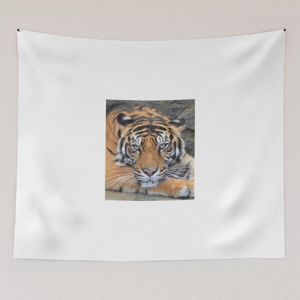 Item preview, Tiger 1 designed and sold by Wendy Sinclair.