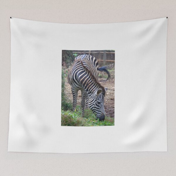 Item preview, Hungry Zebra designed and sold by Wendy Sinclair.