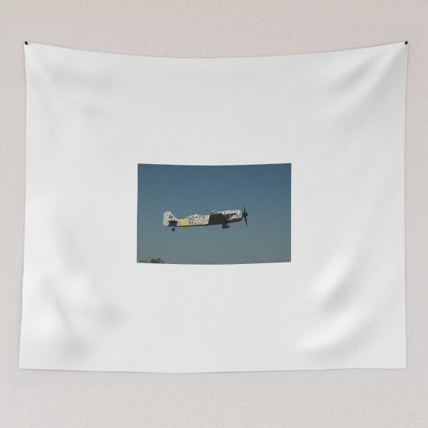 Item preview, Focke Wulf 190 VH-FWB,Evans Head,Australia 2010  designed and sold by muz2142.