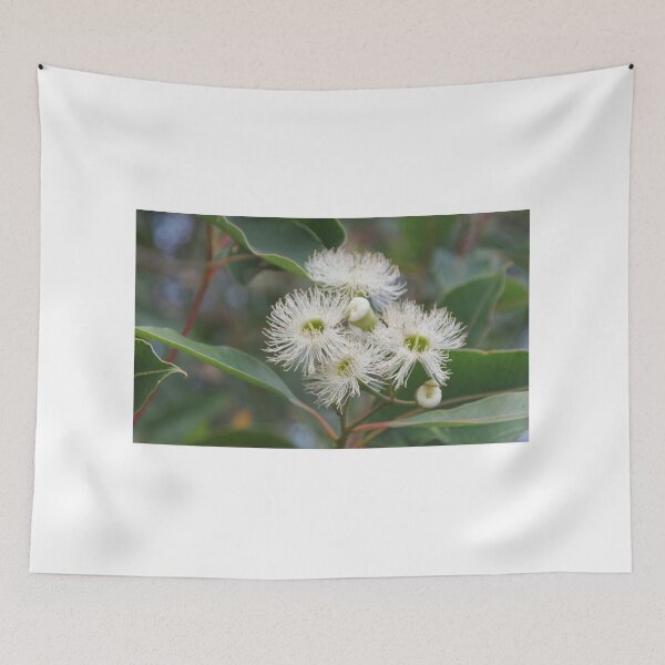 Item preview, White Eucalypt designed and sold by lezvee.