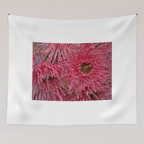 Item preview, Aussie blossom designed and sold by KimHSinclair.