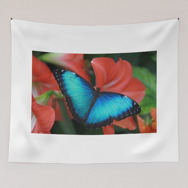 Item preview, Blue Morph designed and sold by mahindle.