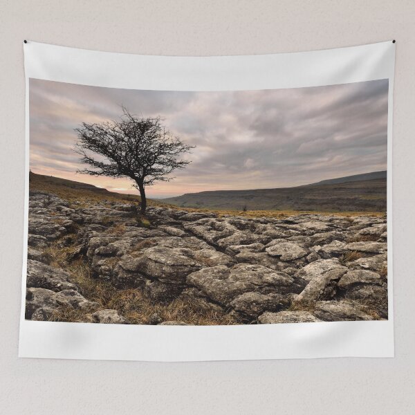 Item preview, Limestone pavement designed and sold by Alex johnson Landscape Photography.