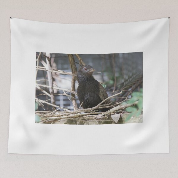 Item preview, Backyard Watcher designed and sold by byronbackyard.