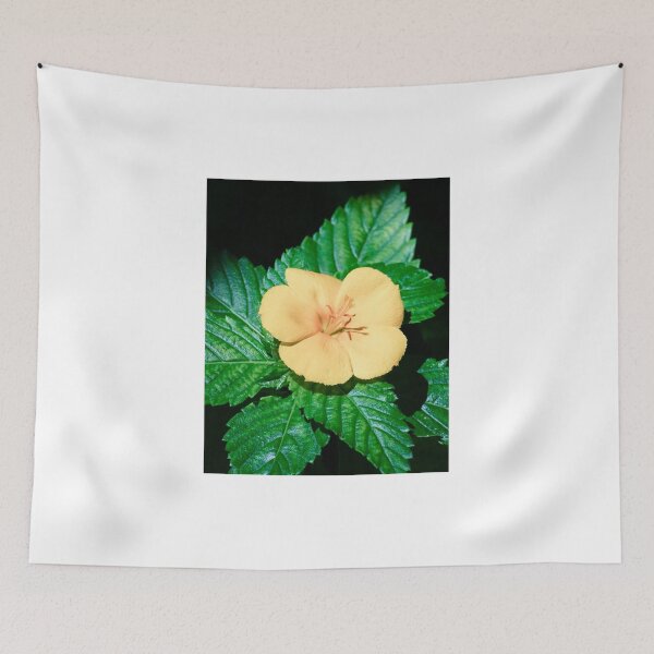Item preview, Yellow Alder on Elbow Cay, Bahamas designed and sold by Robert Kelch, M.D..