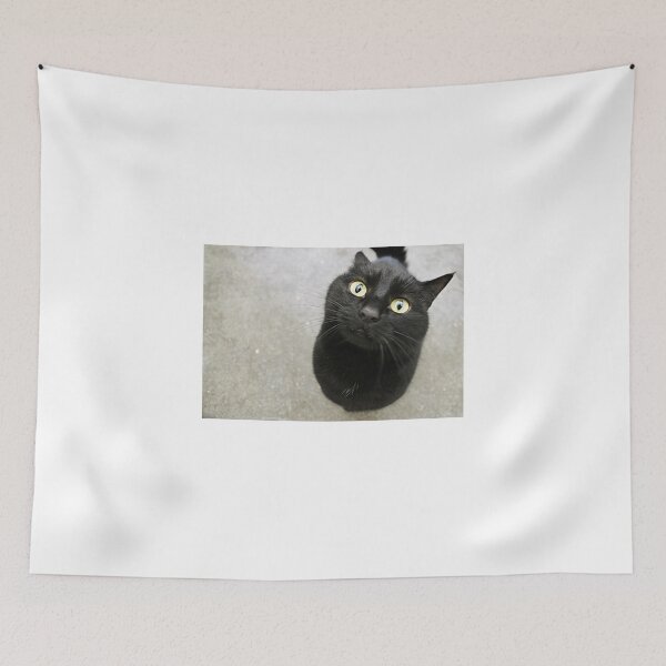 Item preview, Home! designed and sold by Ladymoose.